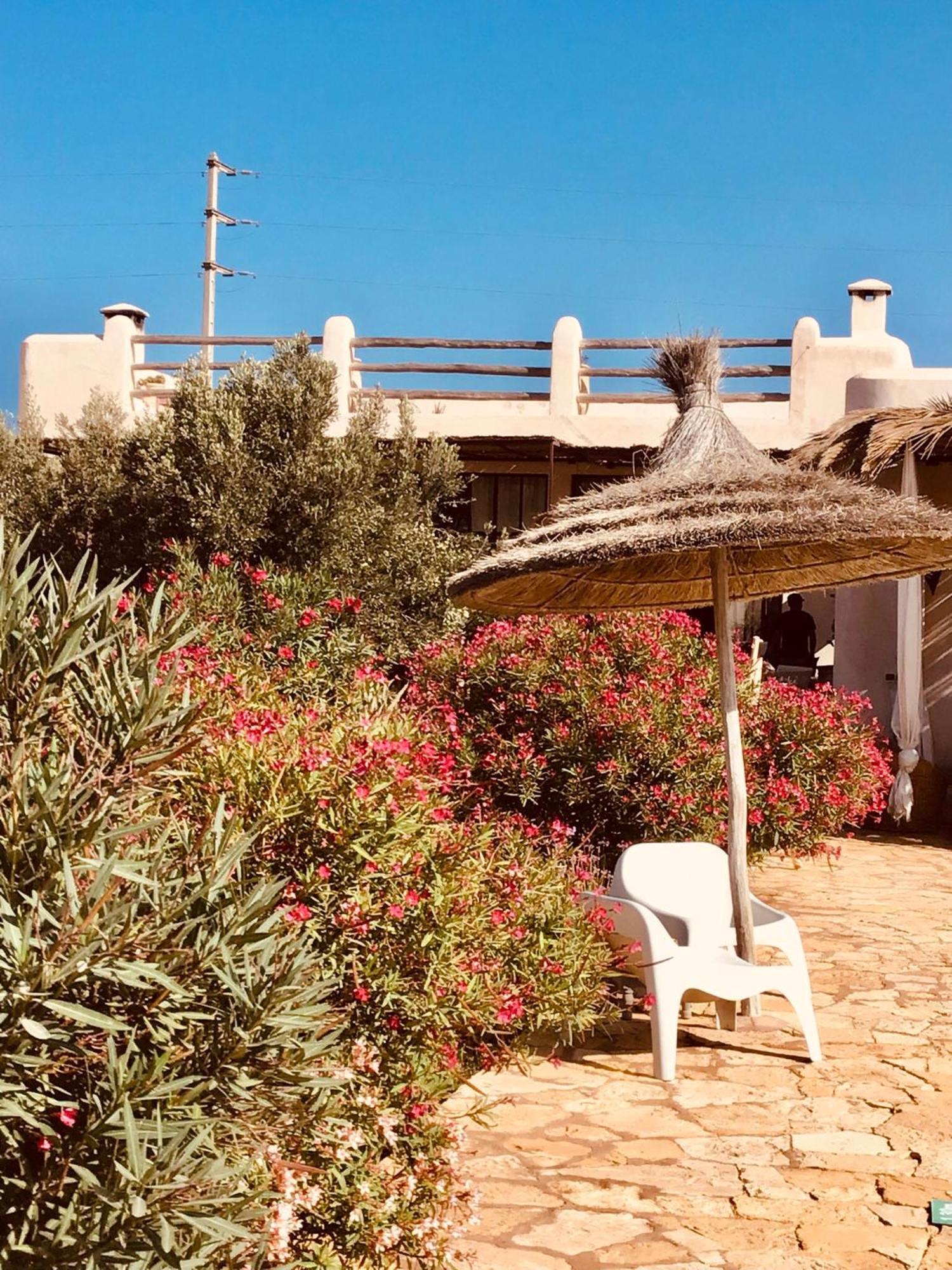 Dar Alya Essaouira Maison Et Table D'Hotes Ghazoua Luaran gambar