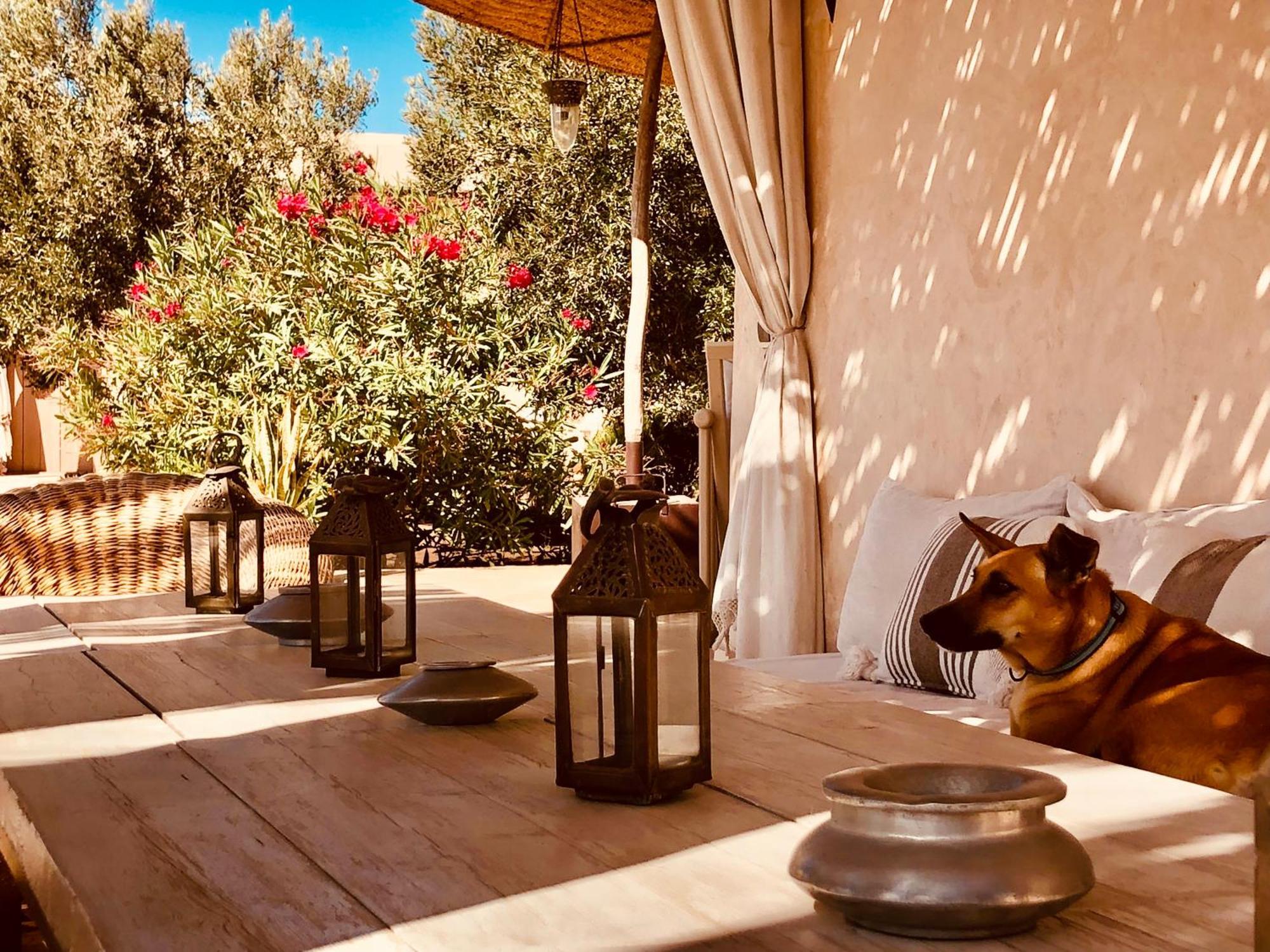 Dar Alya Essaouira Maison Et Table D'Hotes Ghazoua Luaran gambar