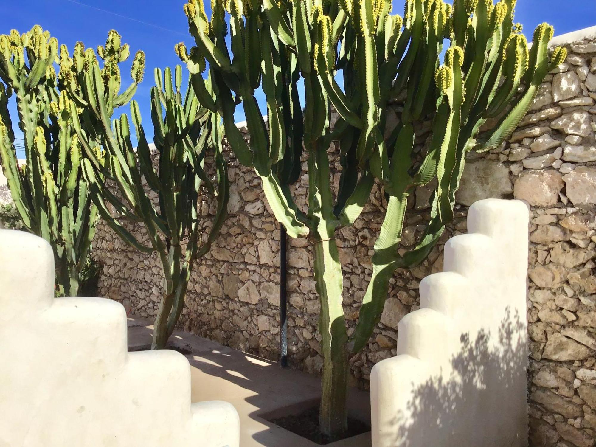 Dar Alya Essaouira Maison Et Table D'Hotes Ghazoua Luaran gambar