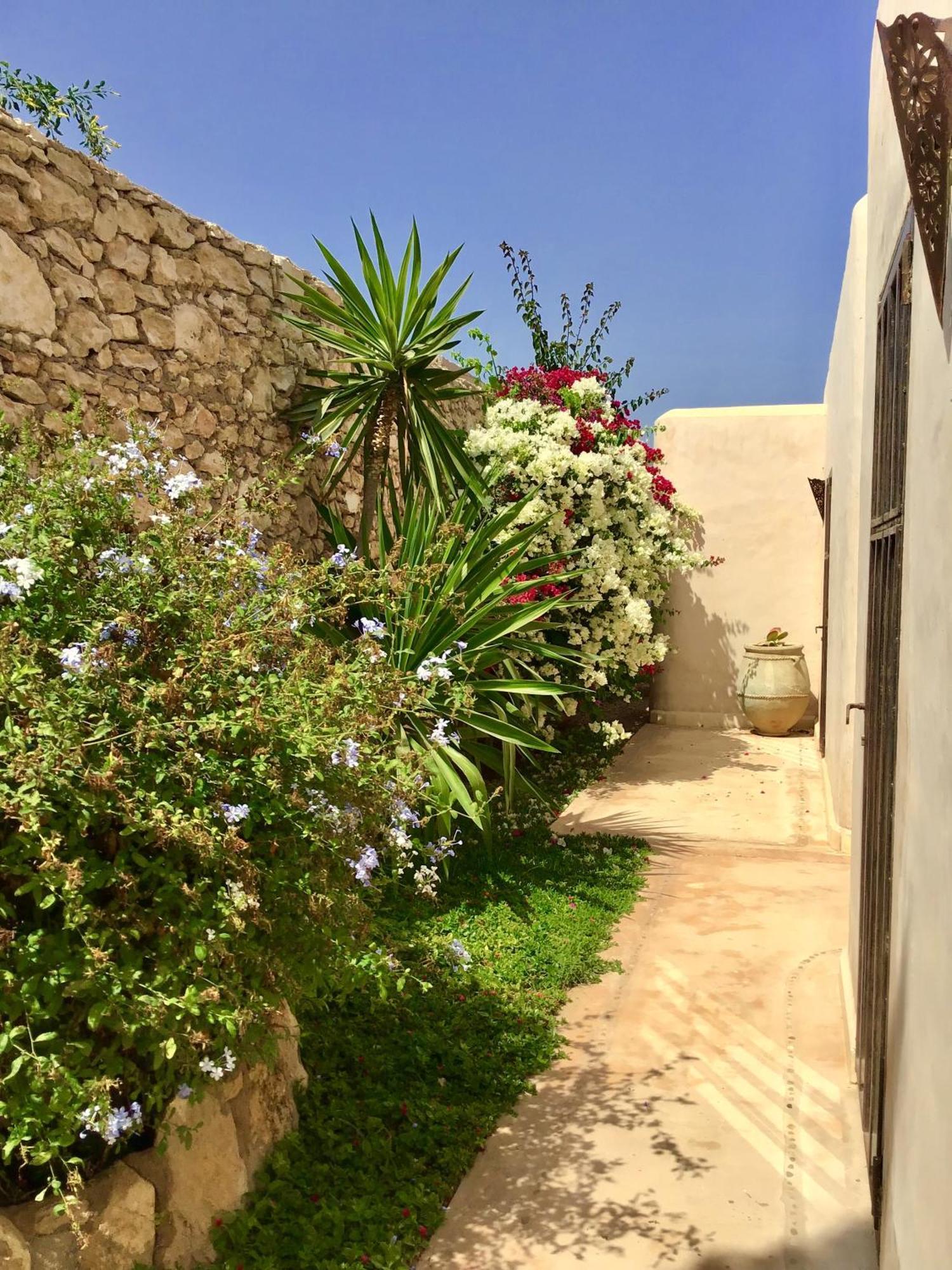 Dar Alya Essaouira Maison Et Table D'Hotes Ghazoua Luaran gambar